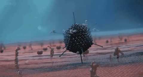 微信截图_20201228182727.png 微信截图_20201228182727.png